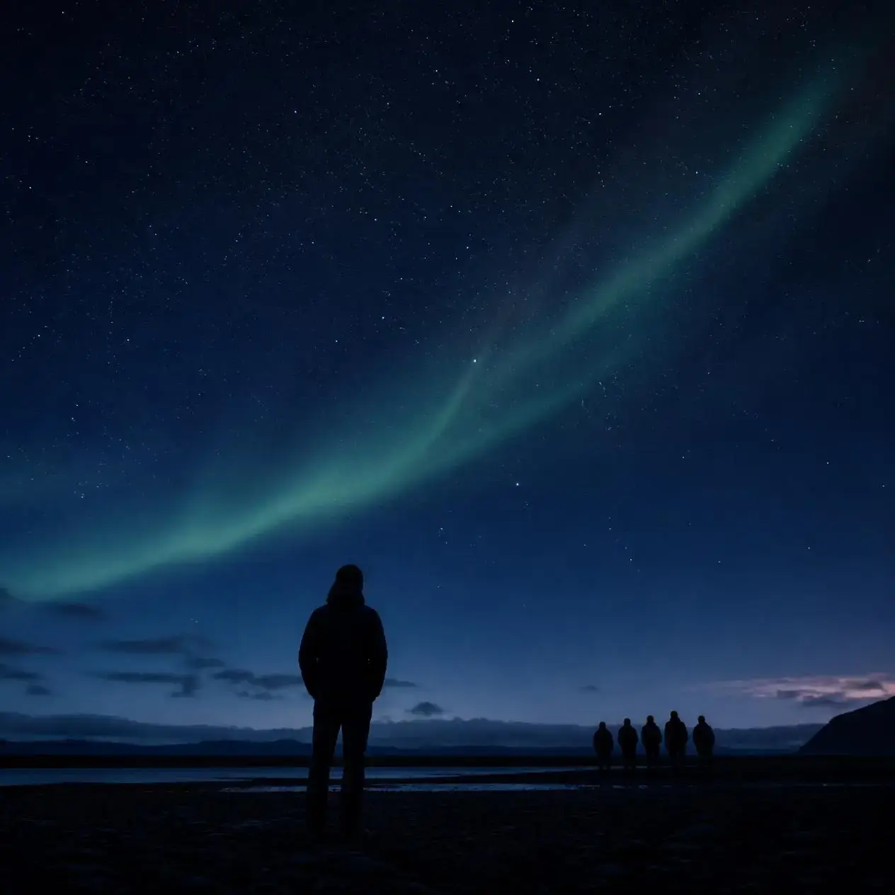 A guest looking up during a quiet, phone-free moment under the aurora.