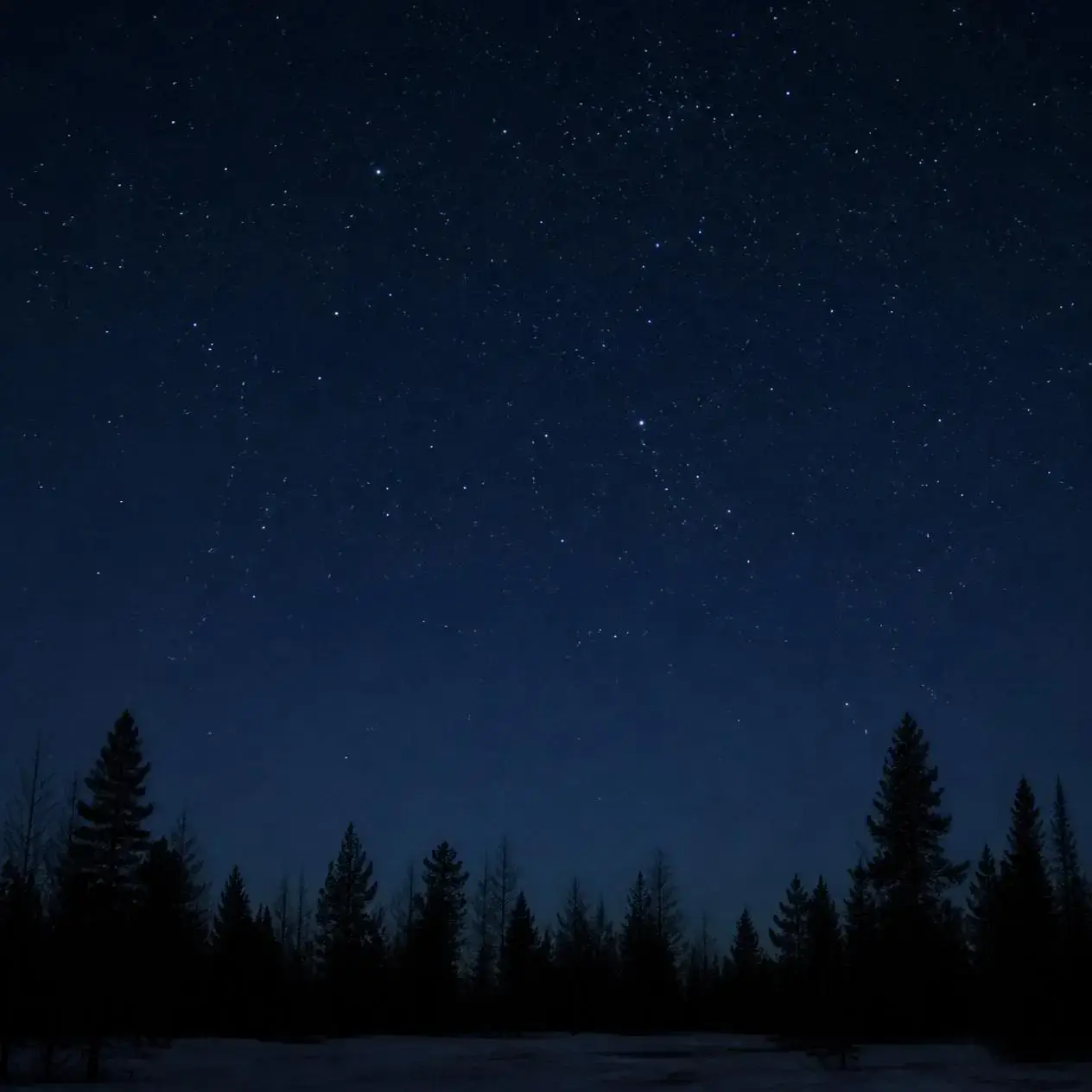 A clear, quiet Arctic night sky over Rovaniemi.