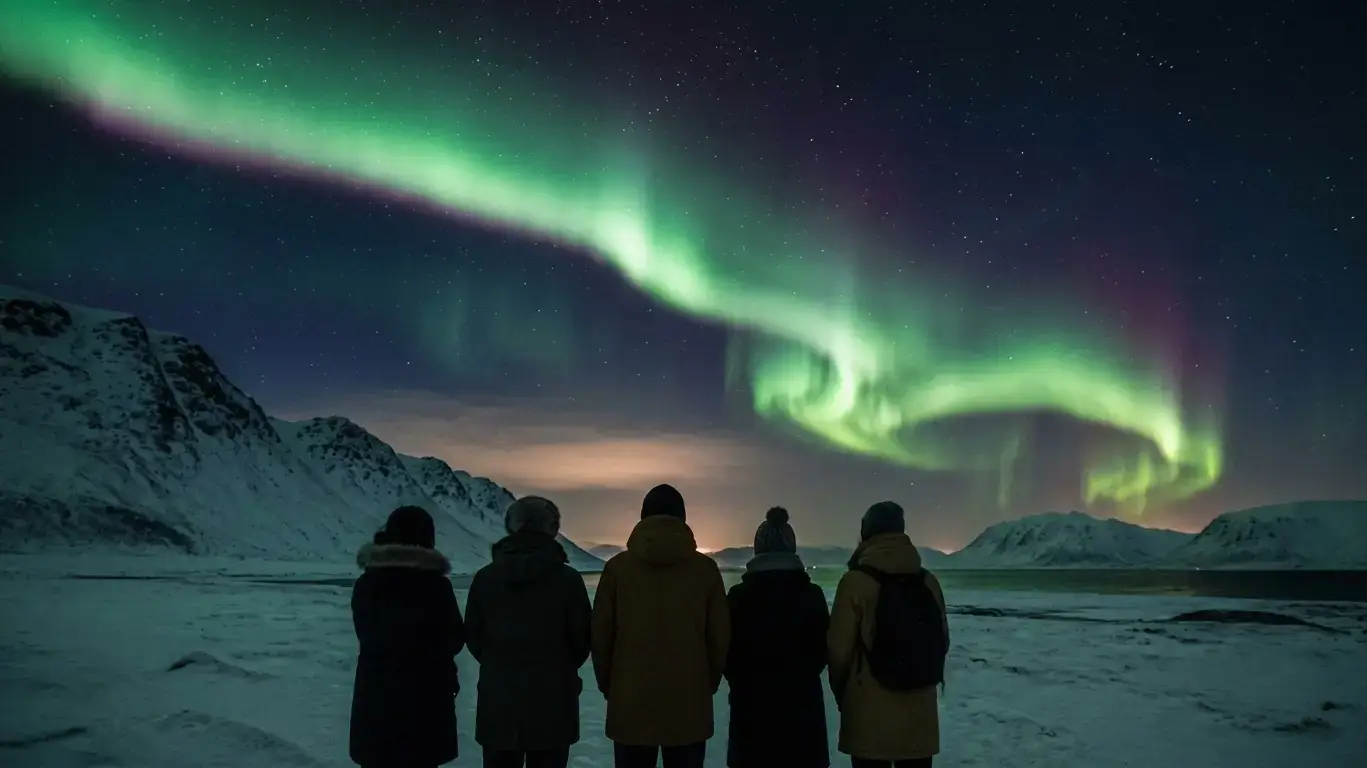 A small group of guests standing together in the snow, watching the aurora over the fells.
